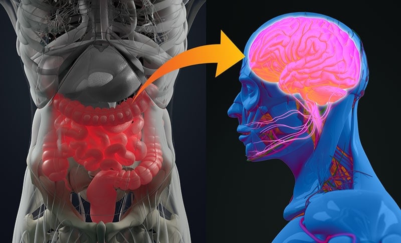 Golden Tree Gut Restore | Präbiotika für die Darmgesundheit